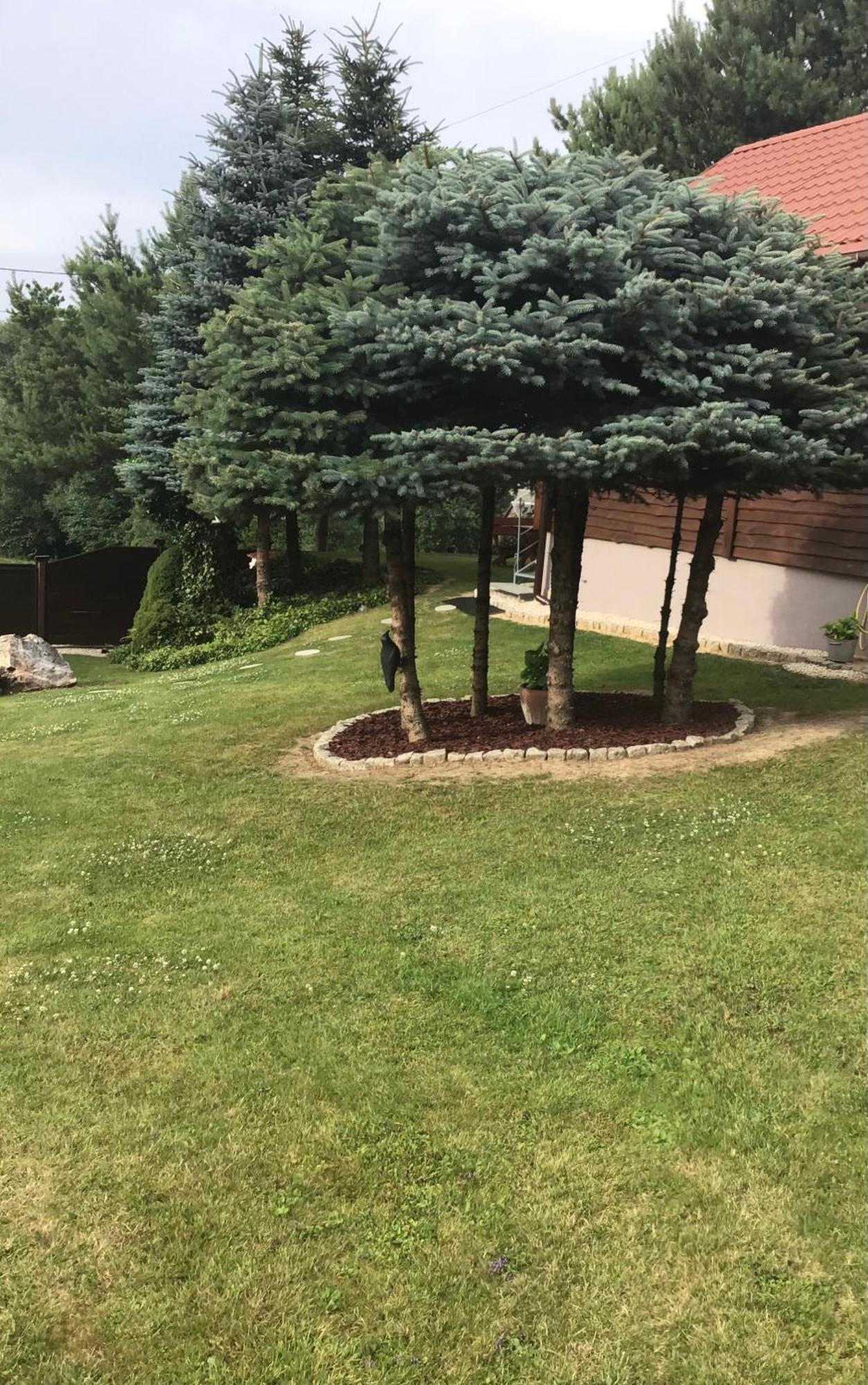 Agroturystyka Krajno - Zagórze Exterior foto